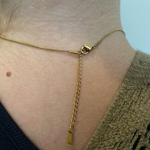 Sea Shell Pendant Phoenix Cameo Chain Necklace - Picture 3 of 8